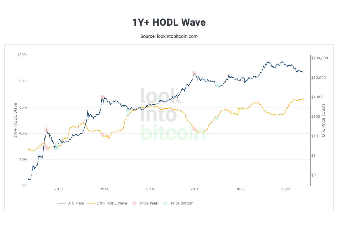 Look Into Bitcoin 1Yr HODL Wave
